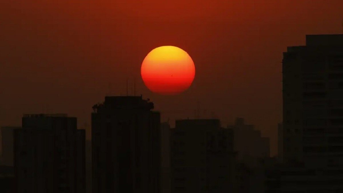 “Mudanças climáticas agravam insegurança alimentar”, diz pesquisadora