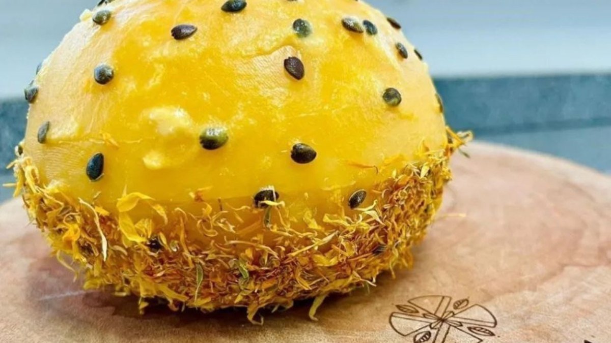 Queijo brasileiro está entre os dez melhores do mundo