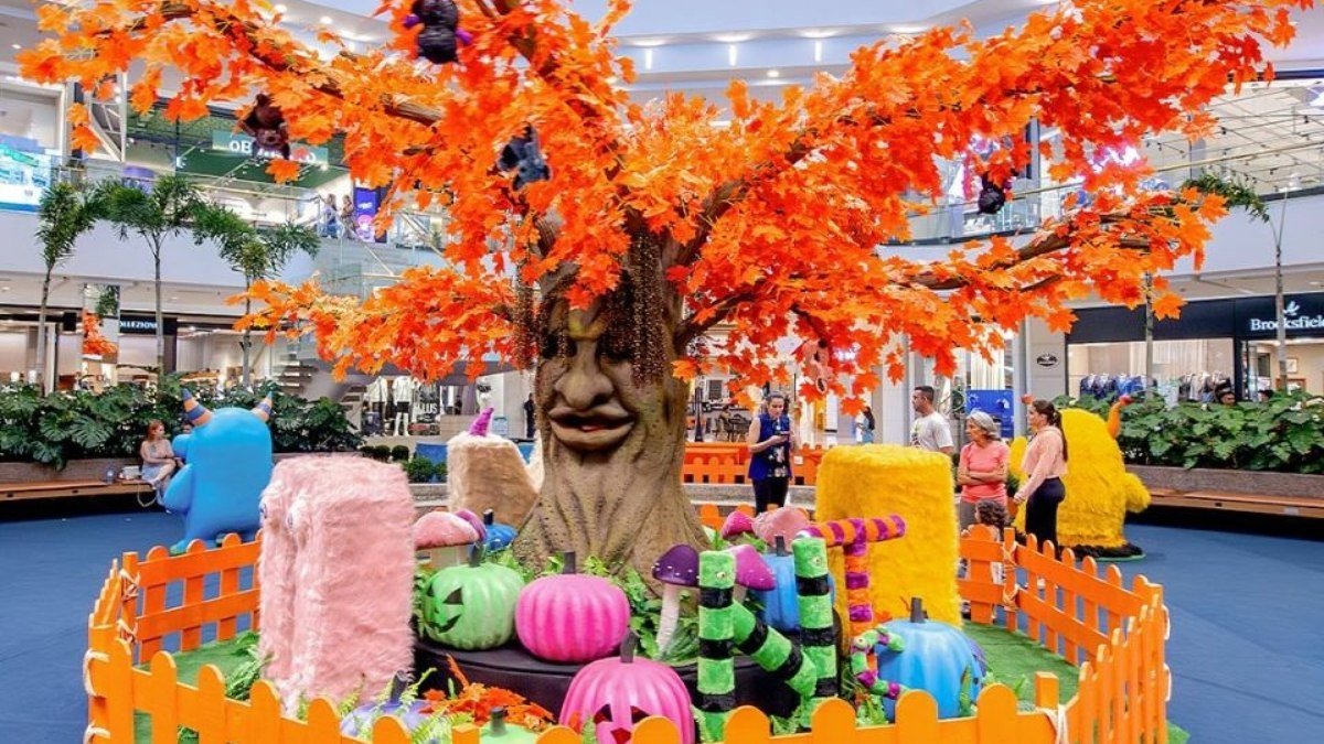 Saiba onde comemorar o halloween em Brasília