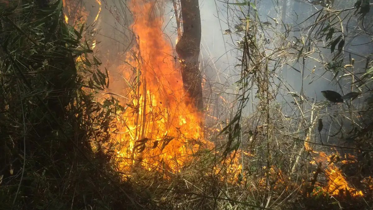 Ministério da Justiça pede a governadores envio de bombeiros para enfrentar queimadas