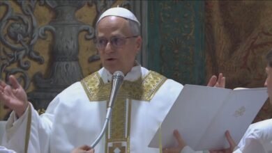 Organização acusa papa Leão XIV de lidar mal com casos de abuso