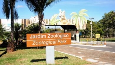 Por suspeita de gripe aviária, zoológico de Brasília é fechado nesta quarta-feira (28)