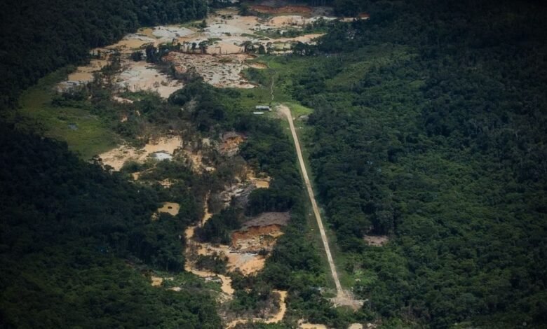A batalha tecnológica em áreas protegidas da Amazônia A batalha tecnológica em áreas protegidas da Amazônia