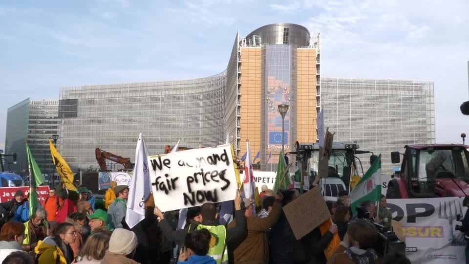 Agricultores protestam em Bruxelas contra acordo de livre comércio Mercosul-UE