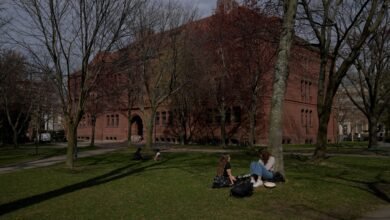 Governo Trump suspende novas bolsas de pesquisa para Harvard