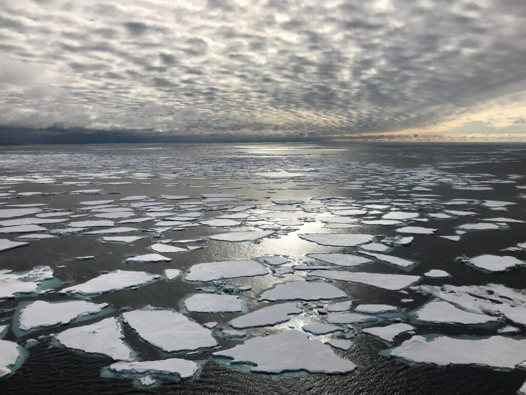 1º verão sem gelo no Ártico pode acontecer em 2027, aponta pesquisa