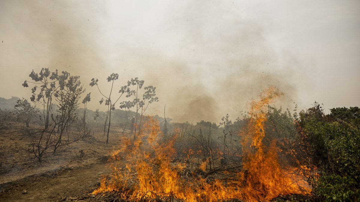 PF cumpre mandados de prisão por incêndios criminosos no Pantanal