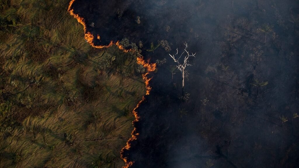 incêndios na Amazônia alcançam níveis recordes e afetam todo o Brasil
