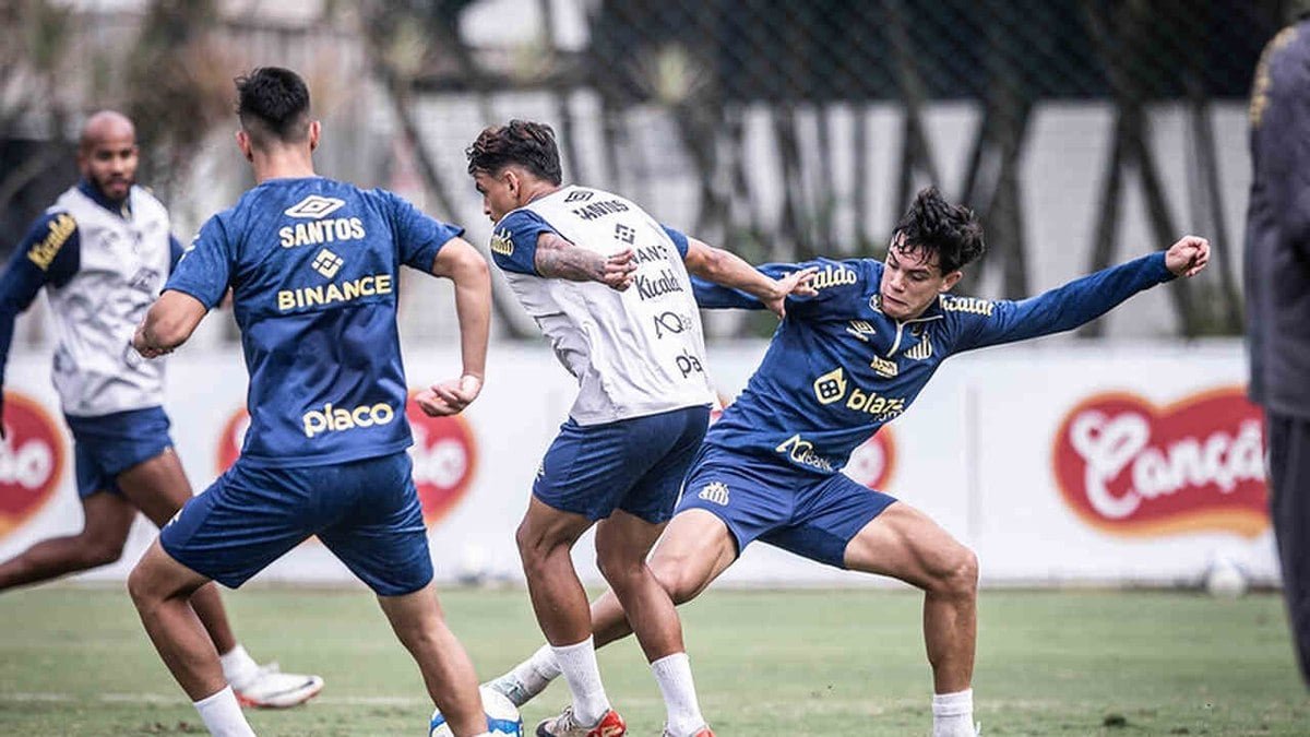 Santos deve manter base invicta na Série B contra o Avaí