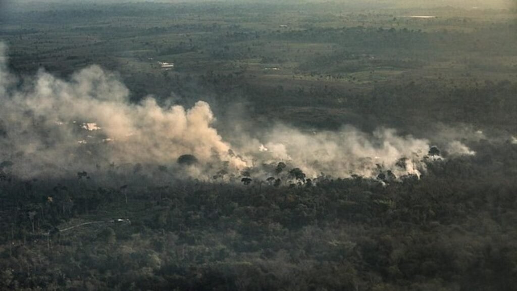 Amazônia se torna o maior emissor de gases de efeito estufa do mundo