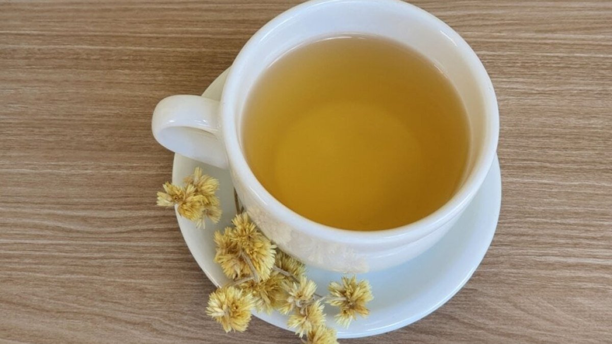 7 benefícios da erva marcela para a saúde e como usá-la