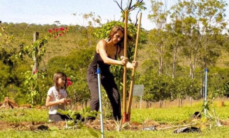 evento promove ações de impacto ambiental no DF evento promove ações de impacto ambiental no DF