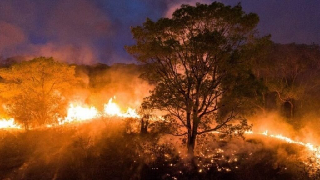 Polícia Federal investiga 52 incêndios florestais suspeitos de ação criminosa