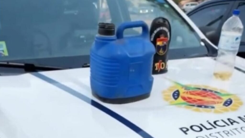 Jovem de 19 anos é detido pela PMDF após tentar incendiar o Parque Burle Marx