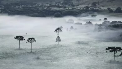massa de ar frio trará geada às regiões Sul e Sudeste