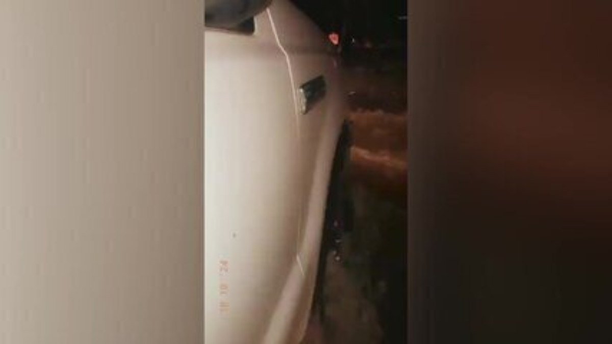 Jacaré nada em rua alagada por Furacão Milton e ataca carros