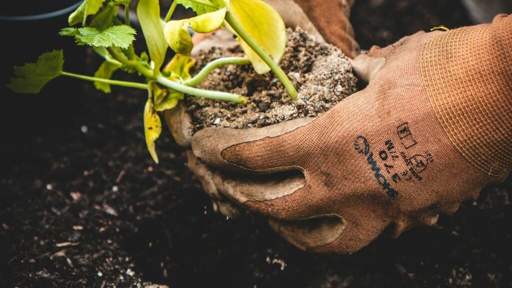 Homem encontra restos humanos no quintal enquanto faz jardinagem