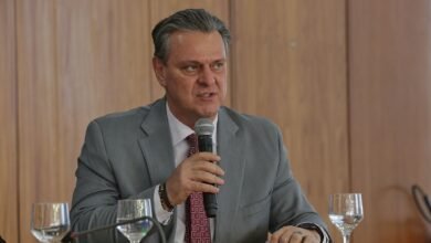 Fávaro: não há necessidade de reforço orçamentário para gripe aviária