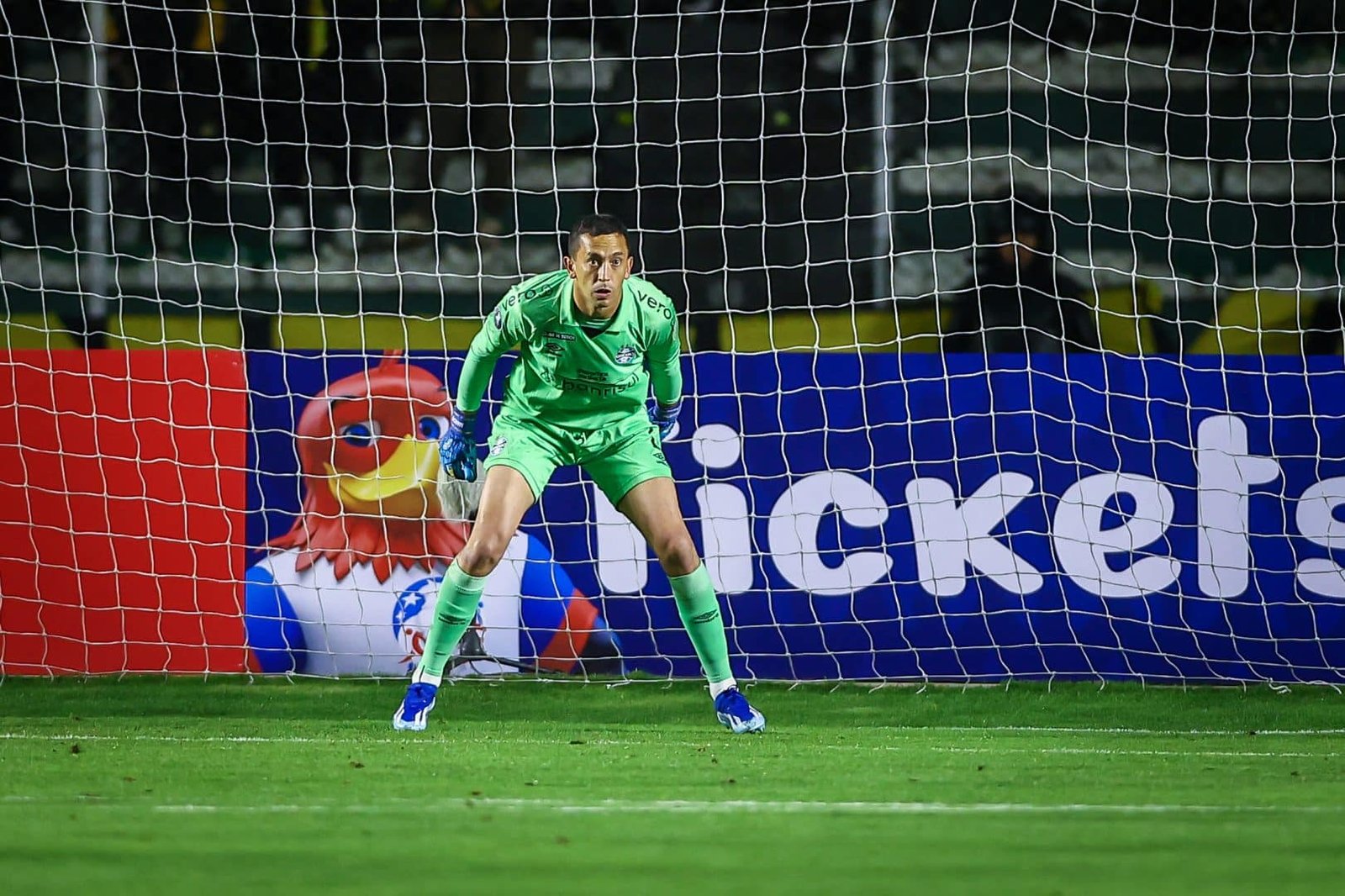 Mal nos pênaltis pelo Grêmio, Marchesín não tem retrospecto bom na carreira; veja os números