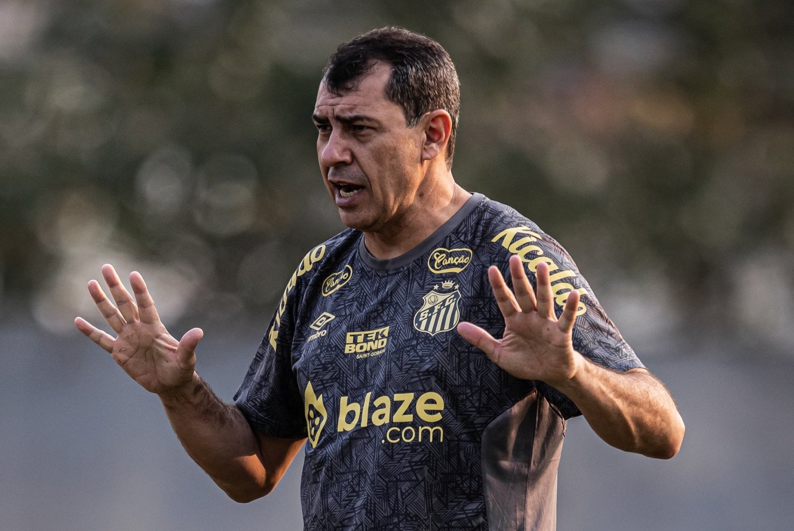 Santos de Carille termina a Série B como o ‘pior’ campeão da história da competição