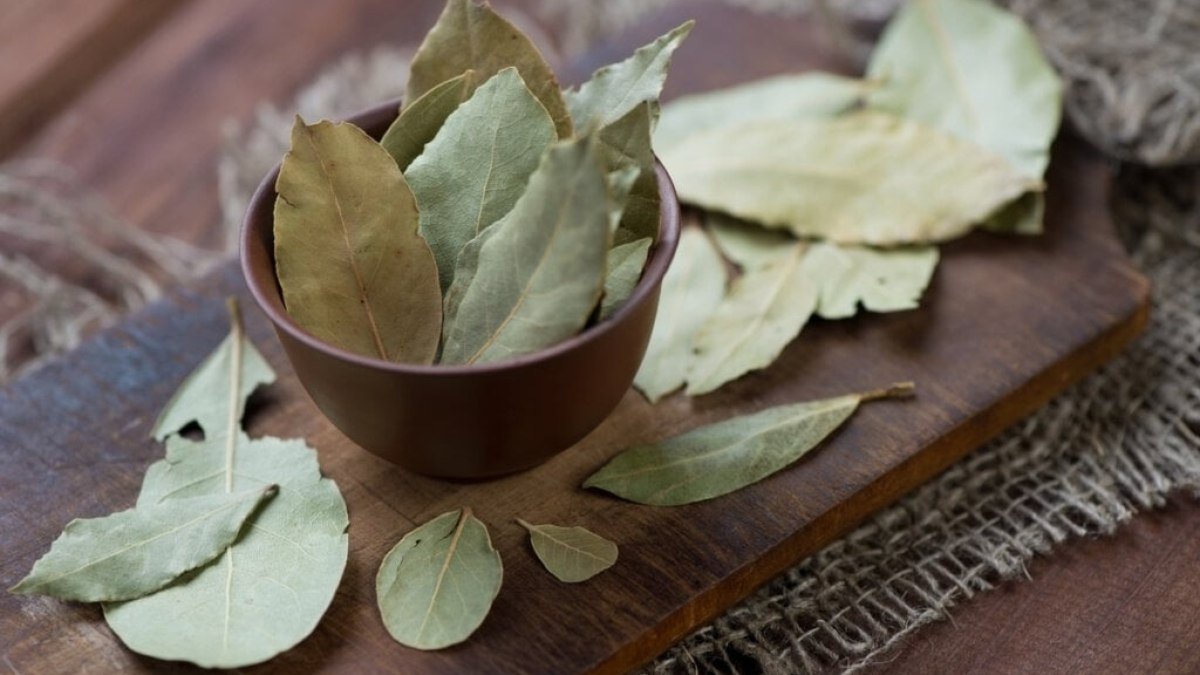 7 benefícios do chá de louro para a saúde e como prepará-lo