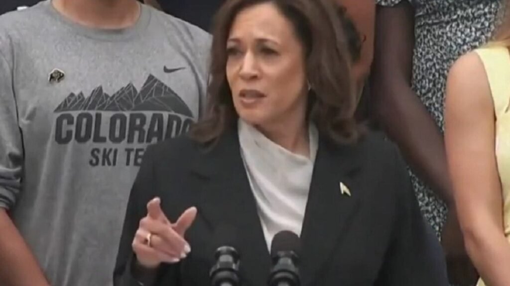 Kamala Harris diz ter delegados necessários para ser candidata à Presidência dos EUA