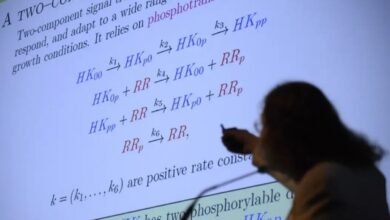 Saiba como perder o medo da matemática financeira e mandar bem nos concursos
