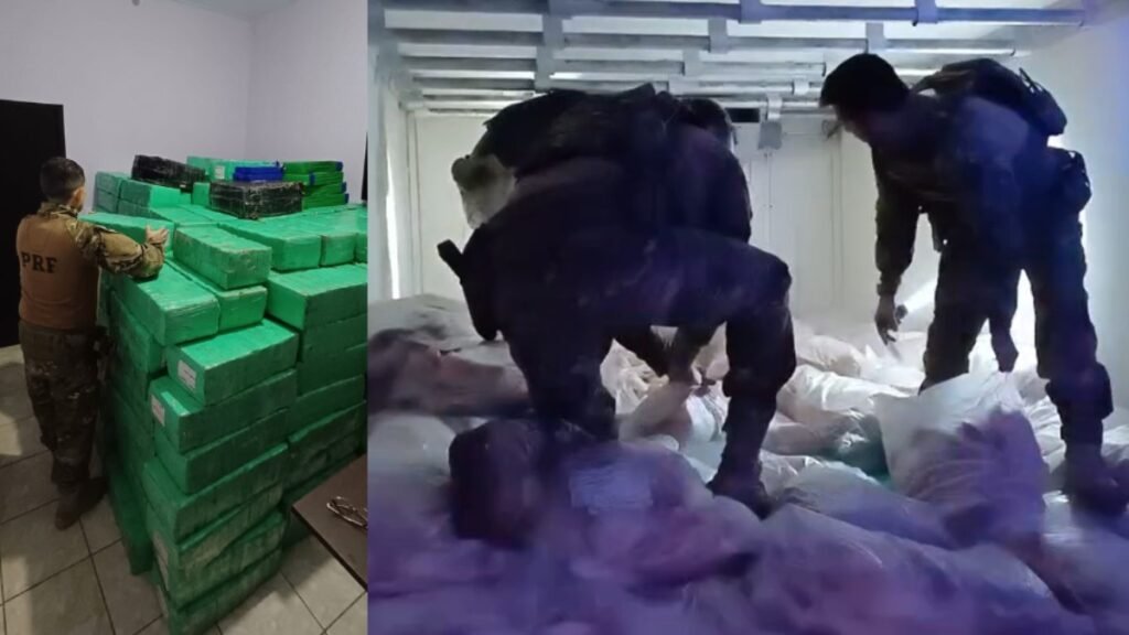 PRF encontra mais de 5 toneladas de ‘maconha congelada’ em carga
