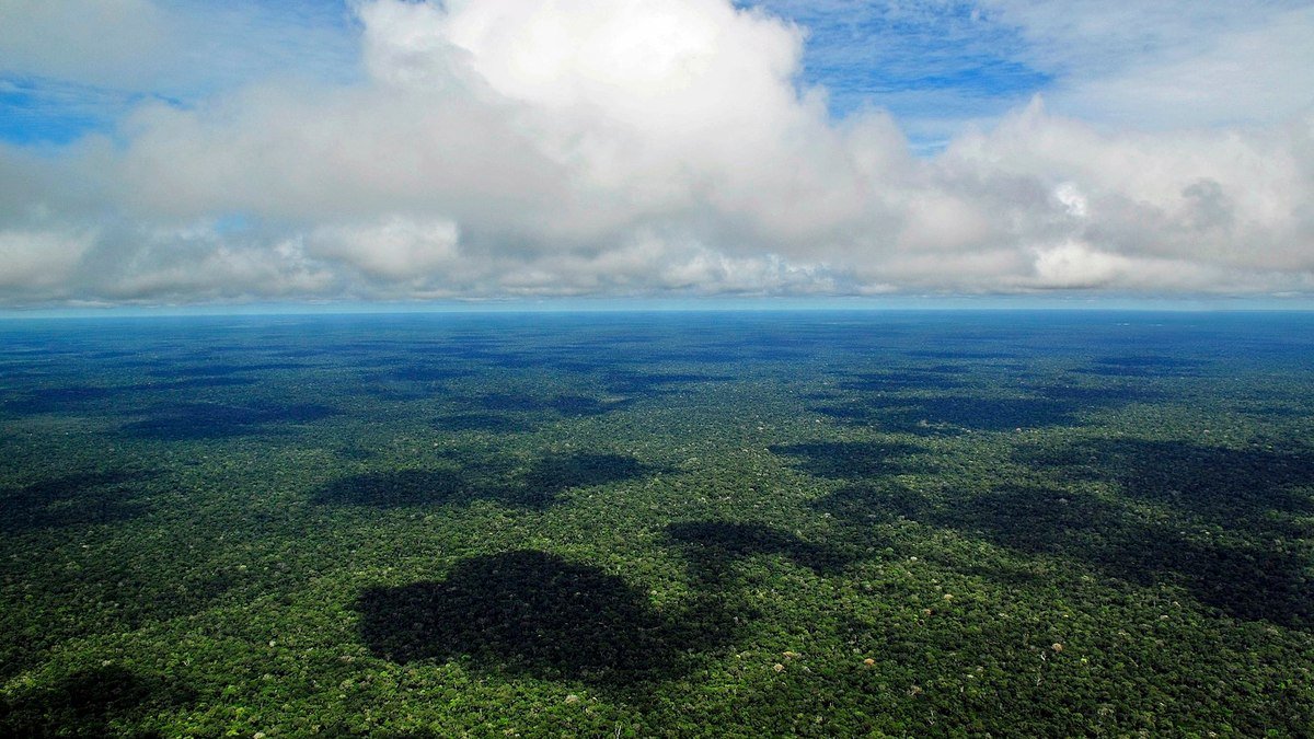 Além do Brasil, conheça os outros 7 países que compartilham a Amazônia