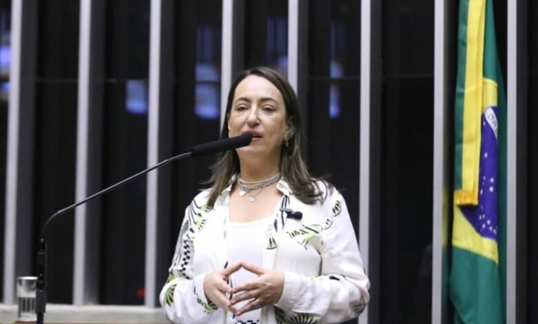 deputada pede responsabilização criminal de Lupi deputada pede responsabilização criminal de Lupi