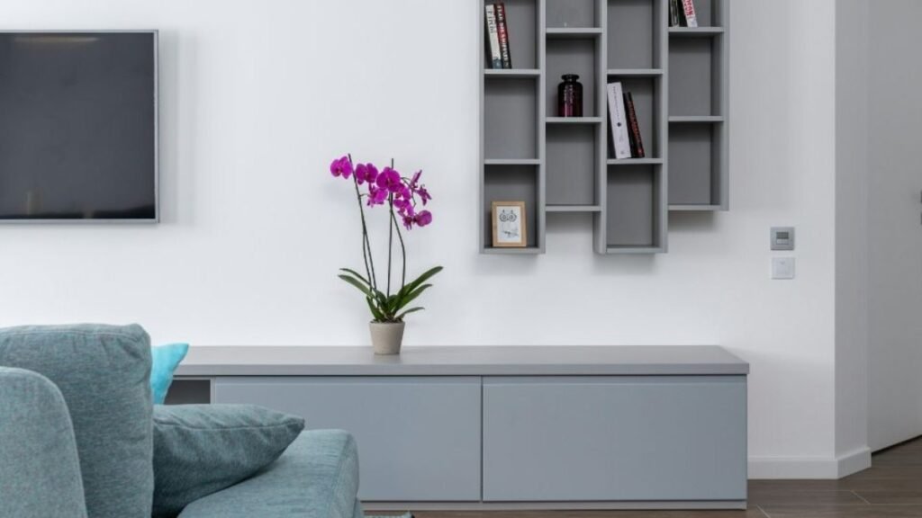 Orquídeas valorizam decoração e são fáceis de cuidar