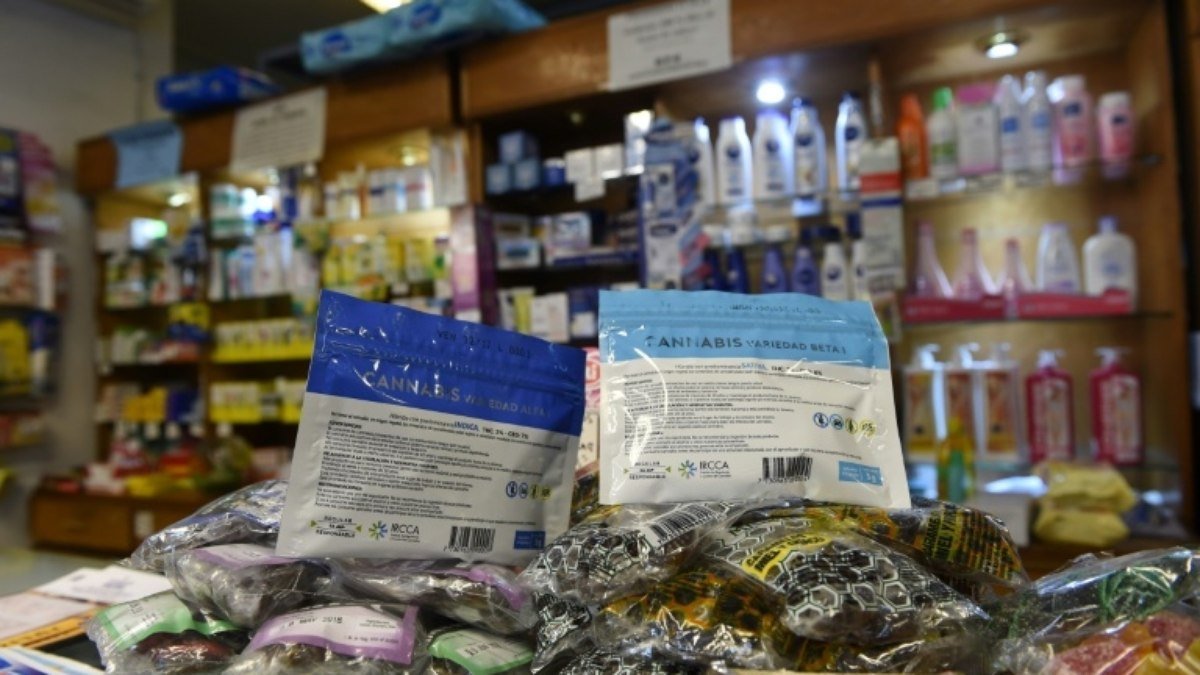 Farmácias do Uruguai começam a vender cannabis com maior efeito psicoativo
