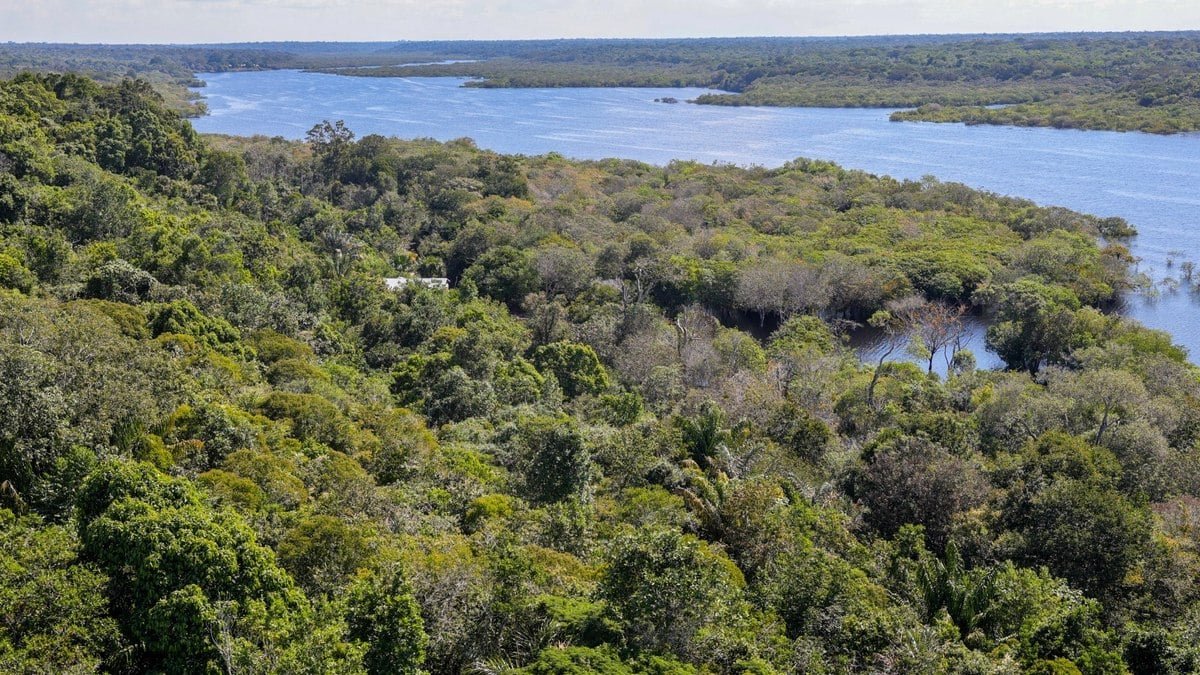 40% da região amazônica está sob algum manejo de conservação