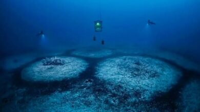 Anéis misteriosos no Mar Mediterrâneo intrigam cientistas