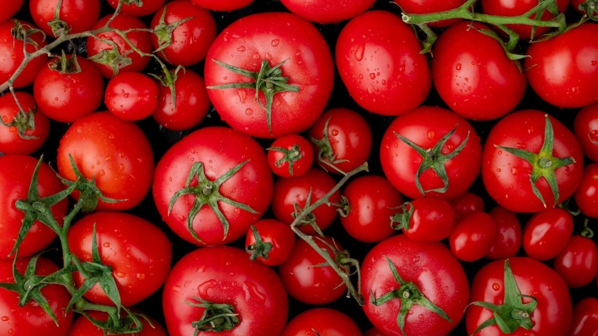 O que é e em quais alimentos encontrar o licopeno?