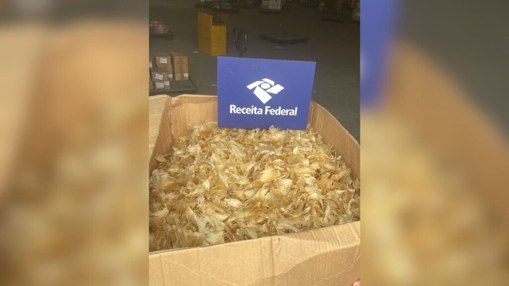 Reeceita Federal apreende 100 kg de barbatanas de tubarão em São Paulo