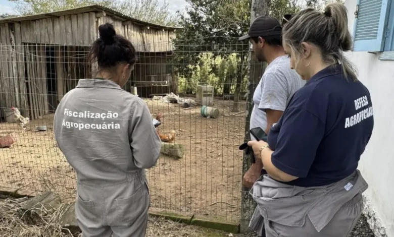 Ministério da Agricultura tentou distribuir testes de gripe aviária com certificado vencido | ac24horas Ministério da Agricultura tentou distribuir testes de gripe aviária com certificado vencido | ac24horas