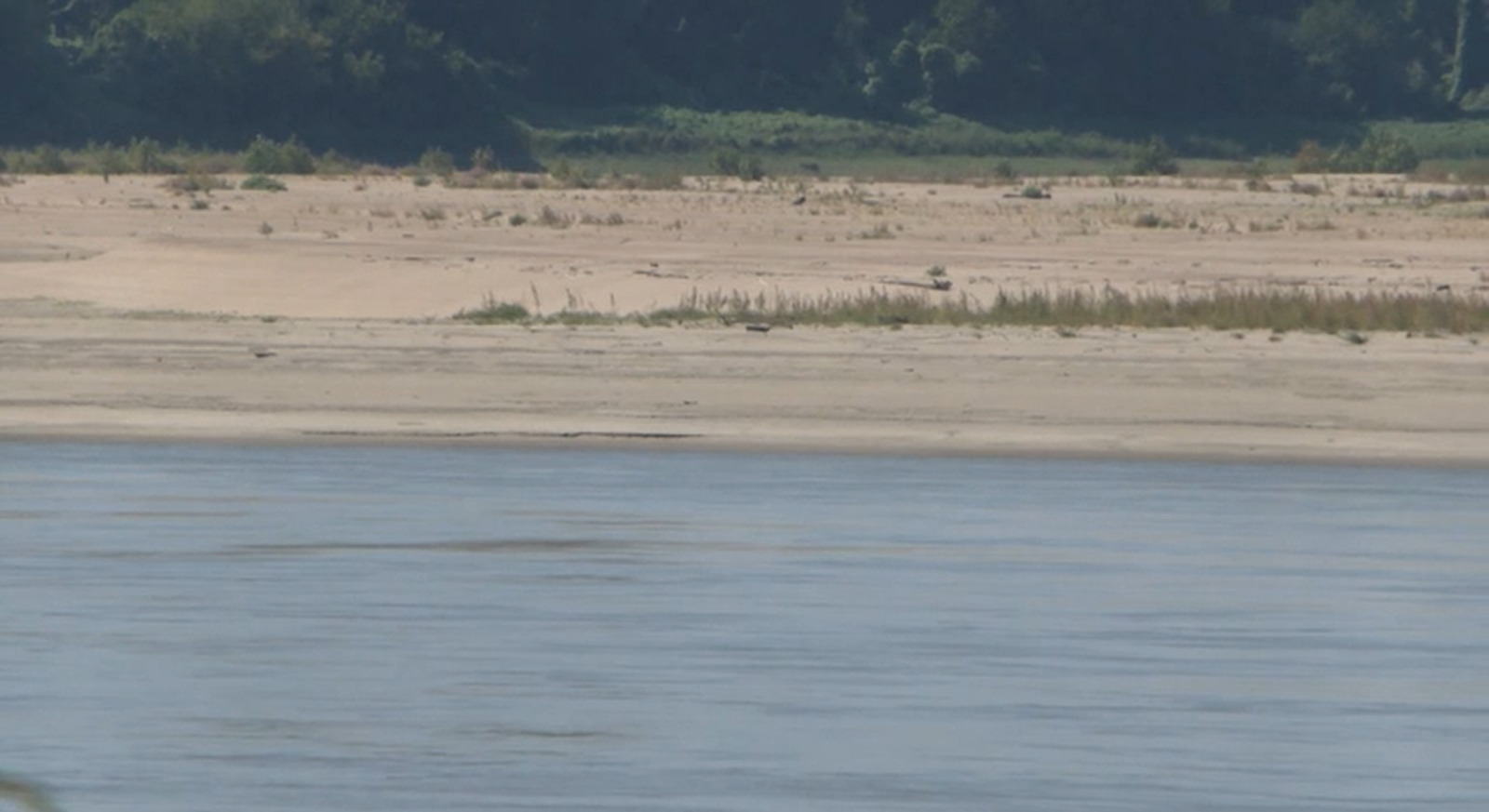 Baixo nível do rio Mississippi impacta exportação de grãos nos EUA