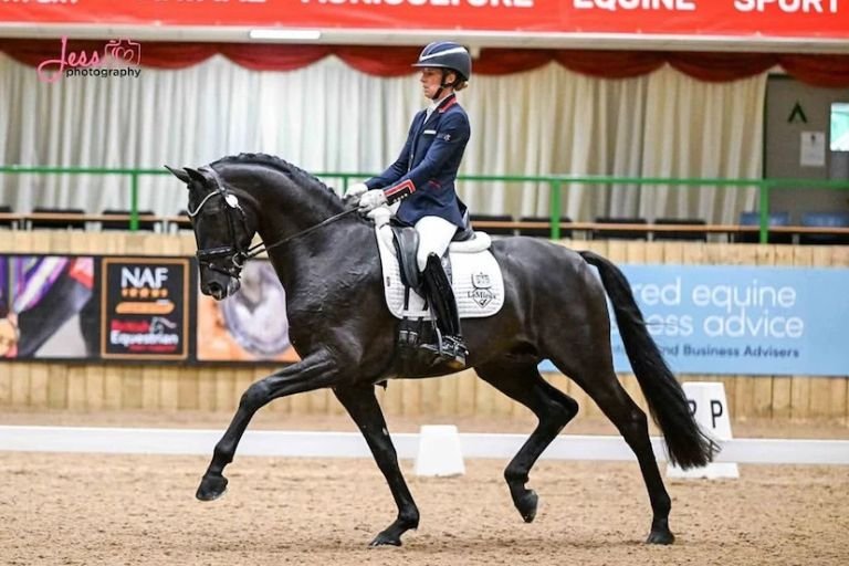 Campeã Olímpica de hipismo é punida por agredir cavalo durante treinamento