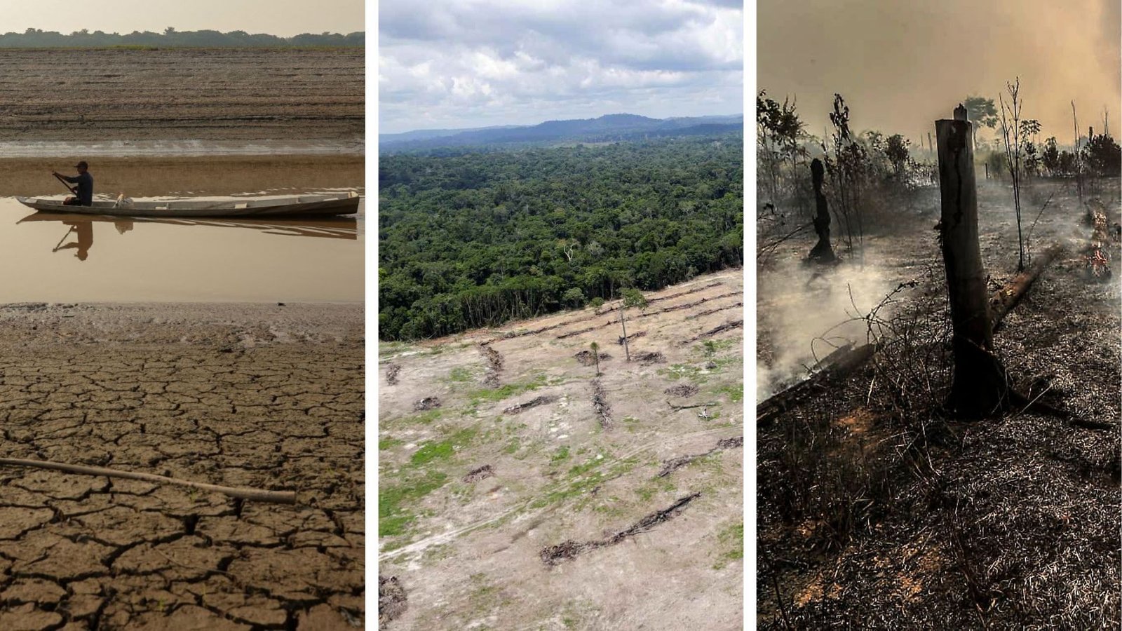 Estudiosos sabiam que a seca deste ano seria pior que a de 2023, diz especialista