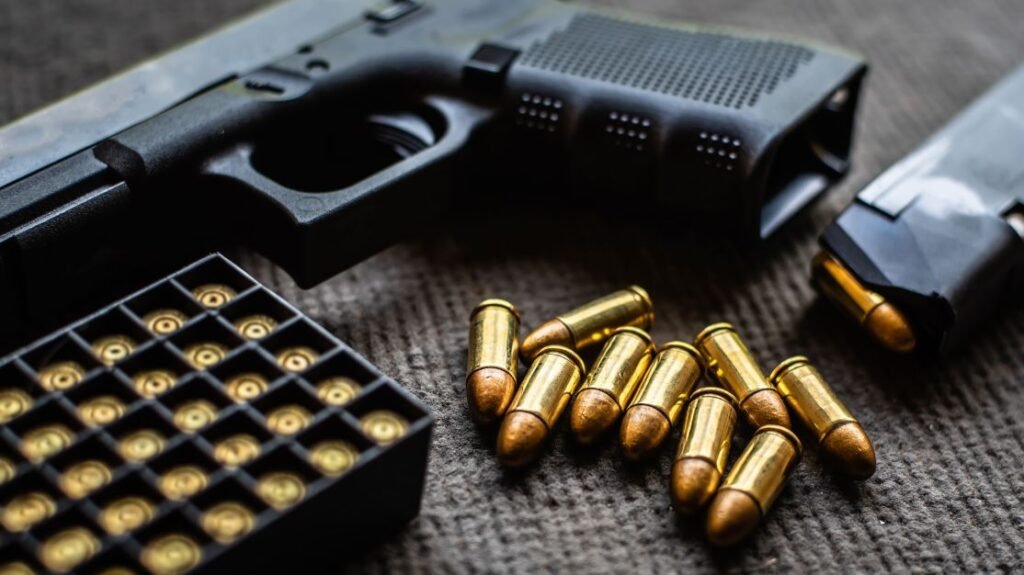 Câmara aprova projeto que permite que investigados registrem armas de fogo