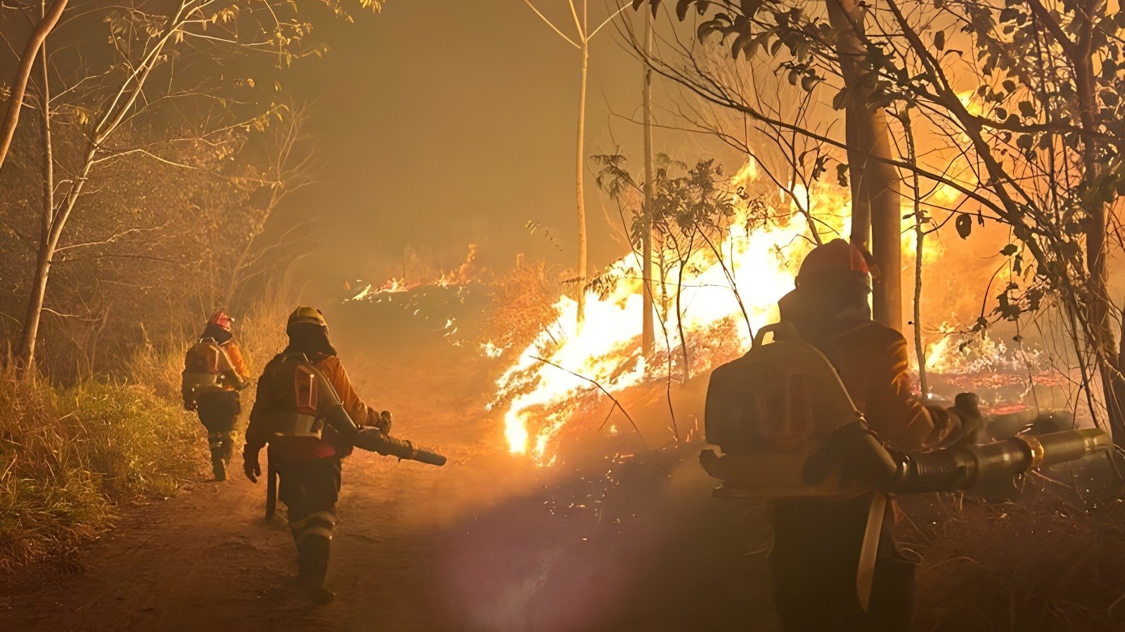 Bombeiros entram no 4° dia de combate ao incêndio no Parque