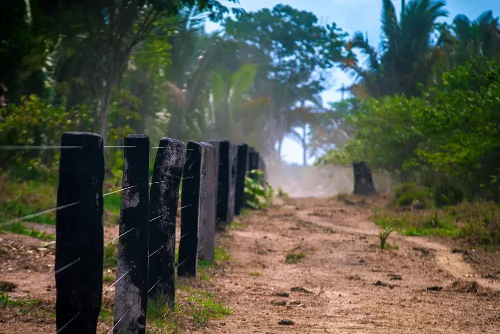 STF é acionado contra lei de Rondônia que anistia crimes ambientais | ac24horas