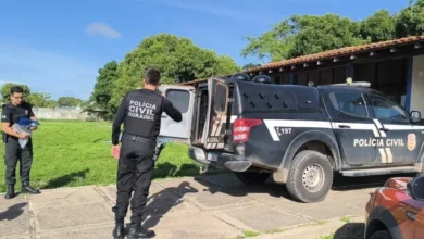 Babá é investigada em Roraima por enviar foto de criança sem roupa ao namorado virtual | ac24horas