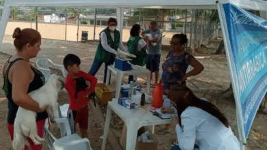 Vacinação antirrábica é ofertada no Defesa Civil e Novo Horizonte neste sábado | ac24horas