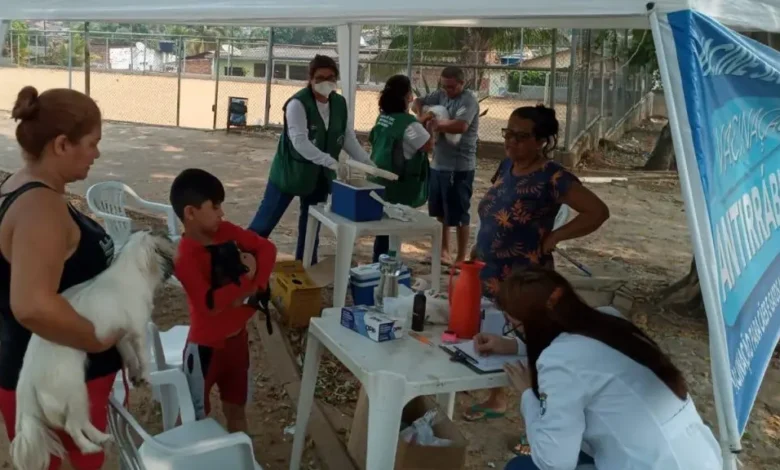 Vacinação antirrábica é ofertada no Defesa Civil e Novo Horizonte neste sábado | ac24horas Vacinação antirrábica é ofertada no Defesa Civil e Novo Horizonte neste sábado | ac24horas