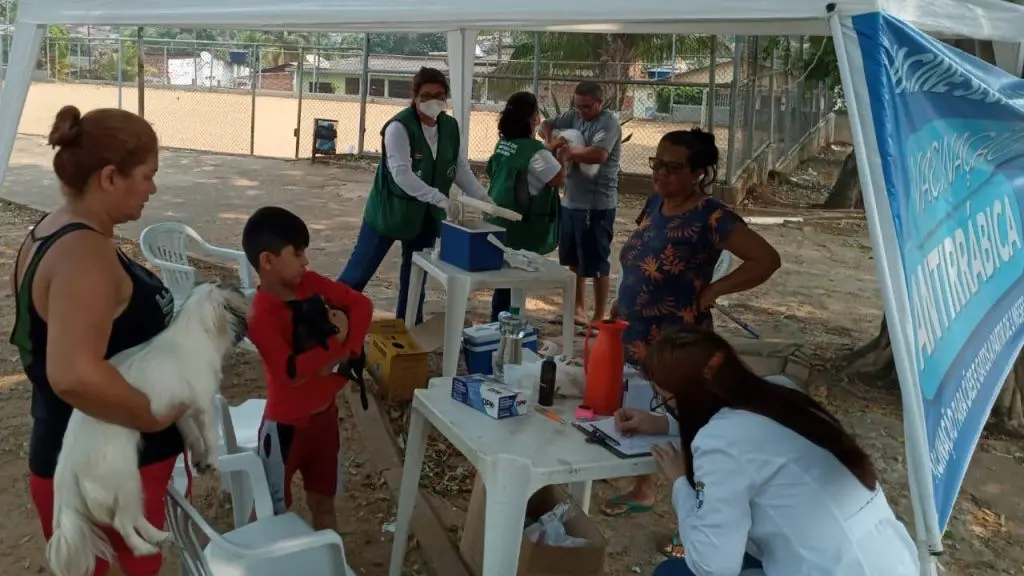 Vacinação antirrábica é ofertada no Defesa Civil e Novo Horizonte neste sábado | ac24horas