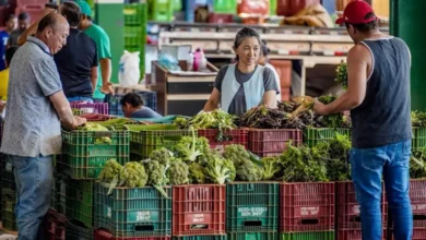 Anvisa inicia coleta de alimentos no Acre para monitoramento de resíduos de agrotóxicos | ac24horas