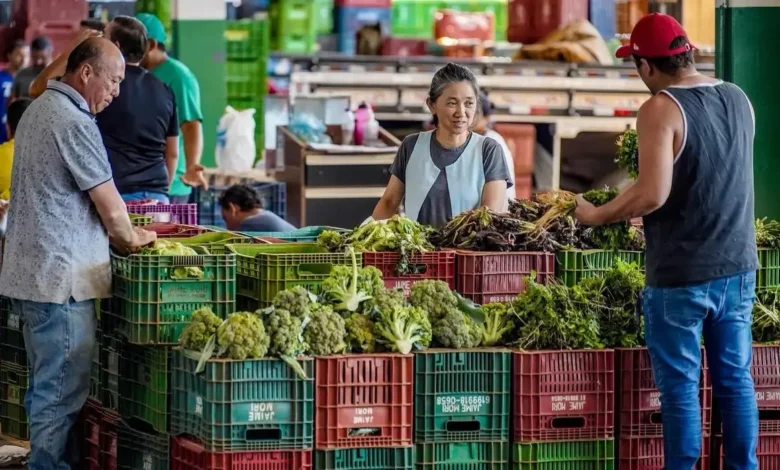 Anvisa inicia coleta de alimentos no Acre para monitoramento de resíduos de agrotóxicos | ac24horas Anvisa inicia coleta de alimentos no Acre para monitoramento de resíduos de agrotóxicos | ac24horas