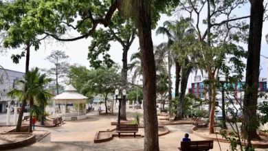 Rio Branco terá ato contra o “PL da Devastação” neste domingo (1) | ac24horas